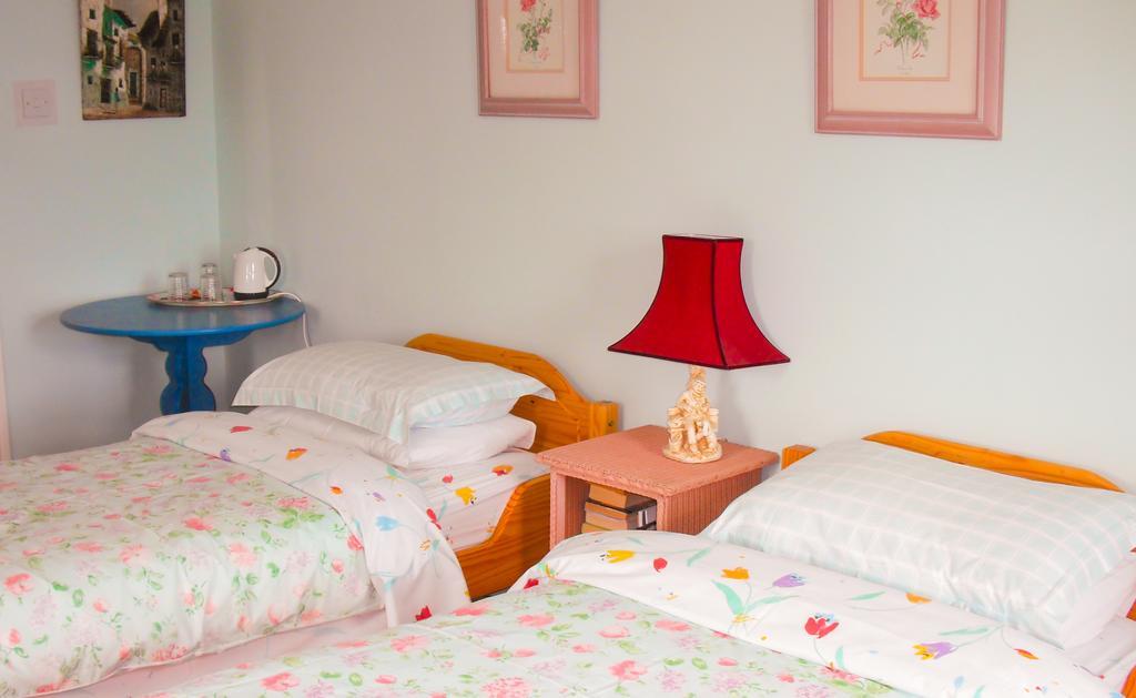 The Well Meadow B&B Ніна Номер фото